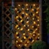 50 Buzzy Bee String Lights